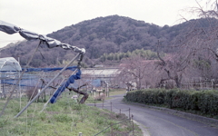 パークからの東谷山