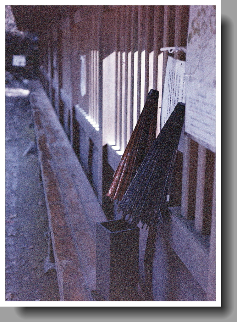 裏庭園長椅子の番傘