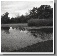 団地群の新池公園