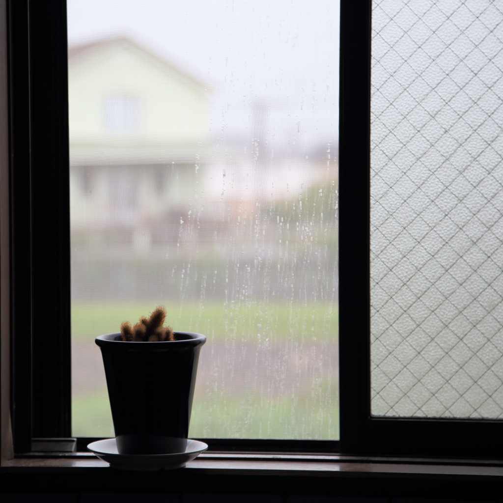 雨ですね…