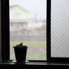 雨ですね…