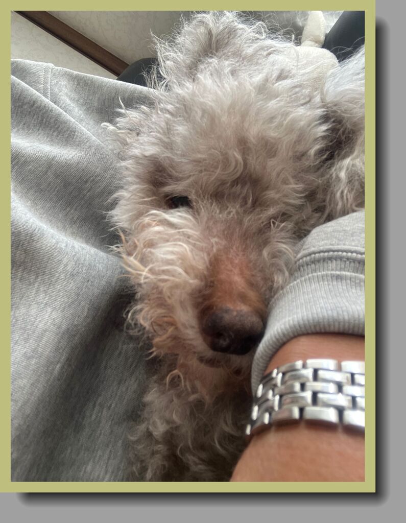 薄目をあけて抱かれるマリ