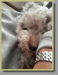 薄目をあけて抱かれるマリ