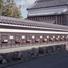 瓦塀の春景色
