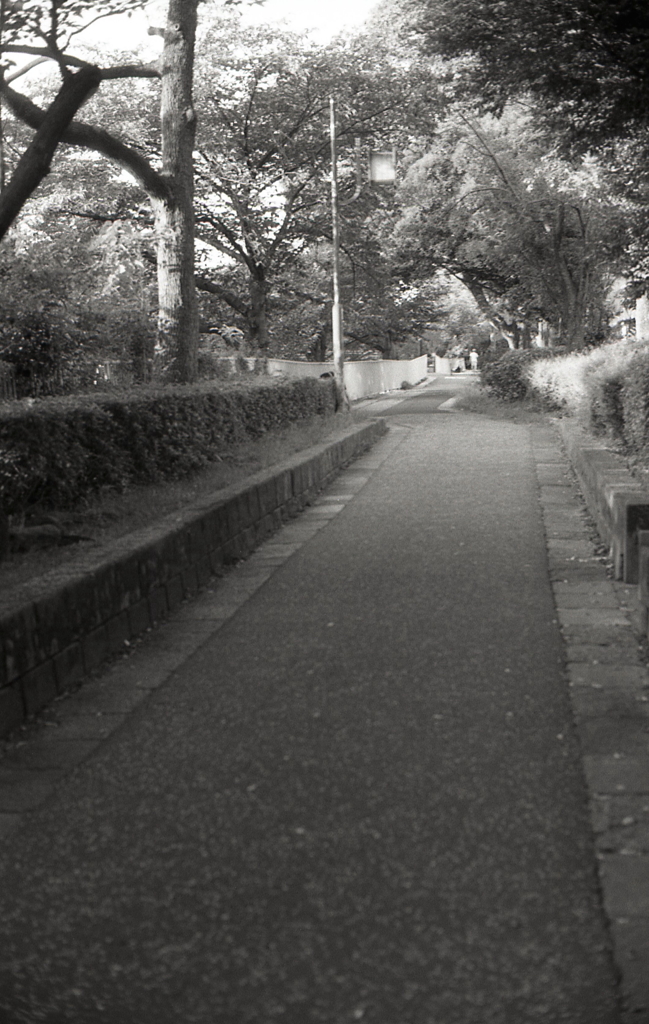 御用水の散歩道