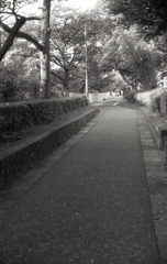 御用水の散歩道