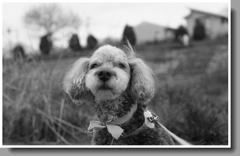 ULTRAFINE EXTREME 400(ミクロフ204AE1