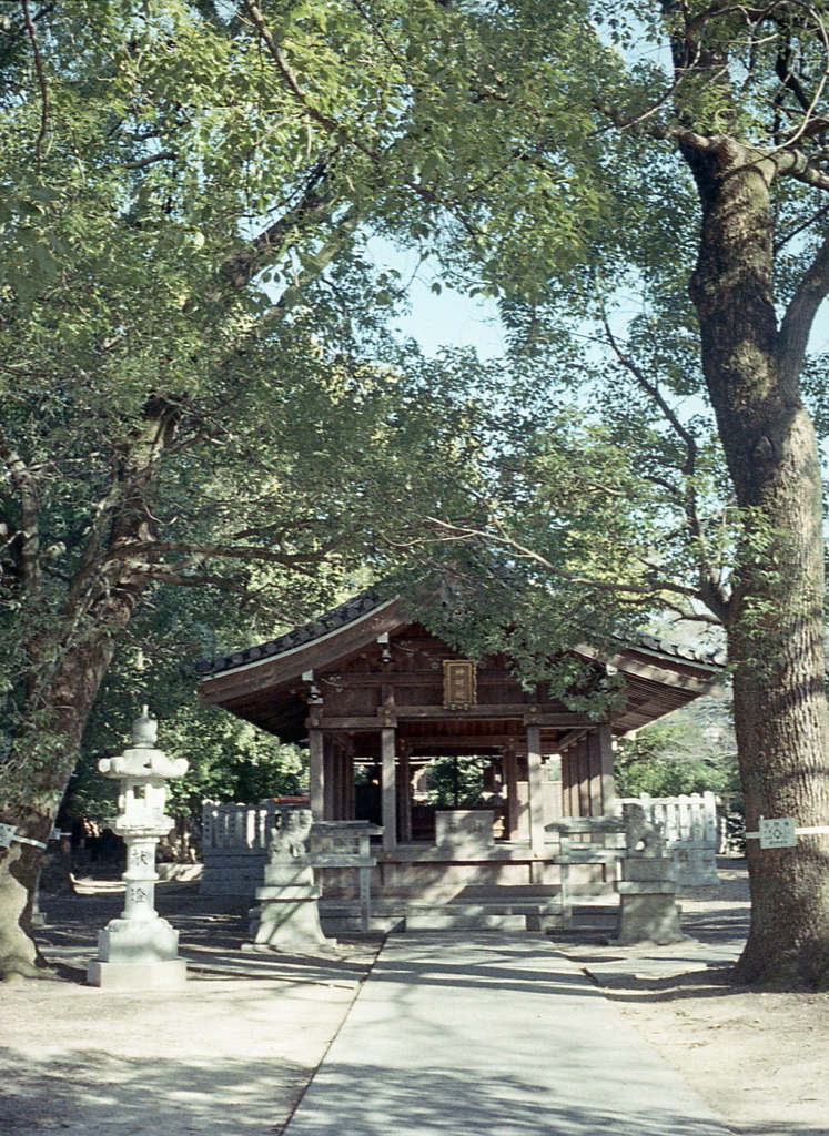 参道から神楽殿