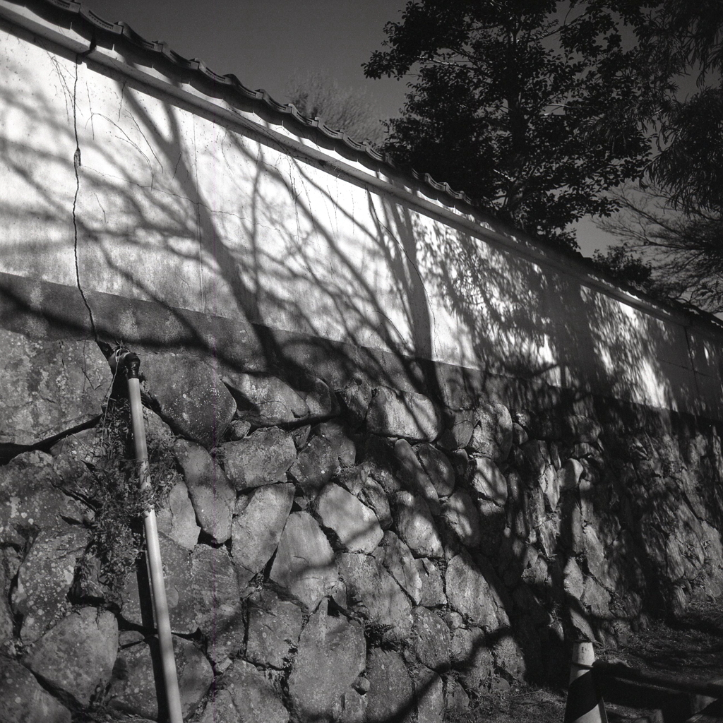 石垣塀にかかる木影