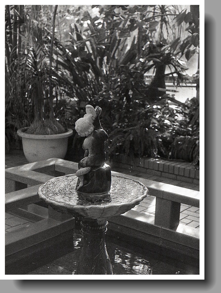 噴水背後からのワンショット