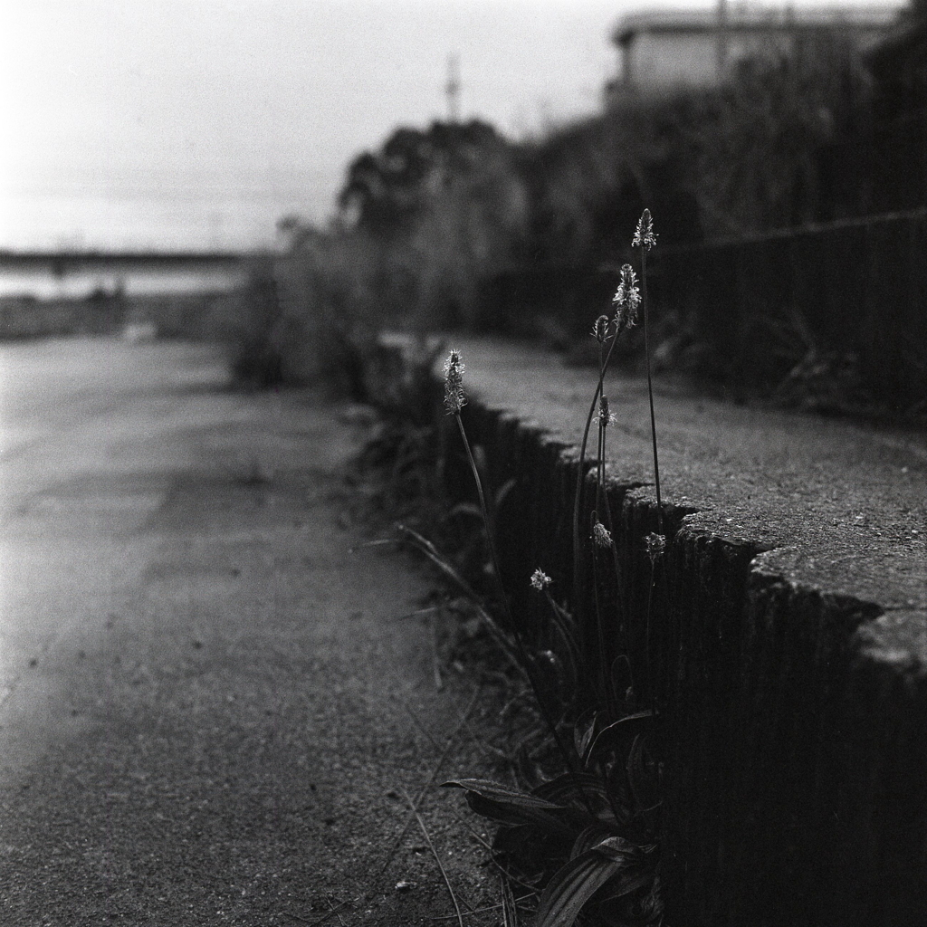 座った僕のとなりには…