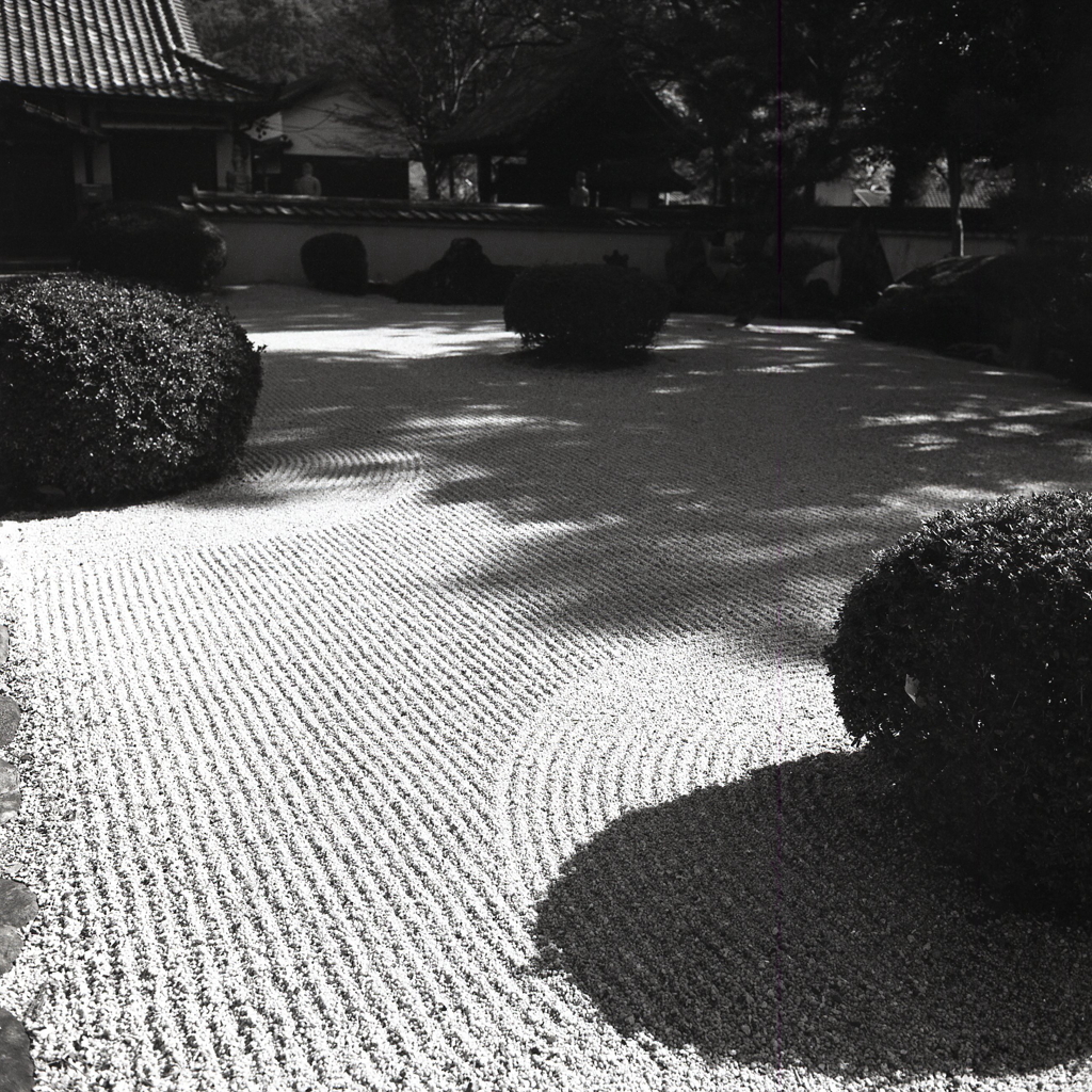 Zen garden