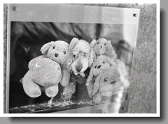 マリ行ってきます！