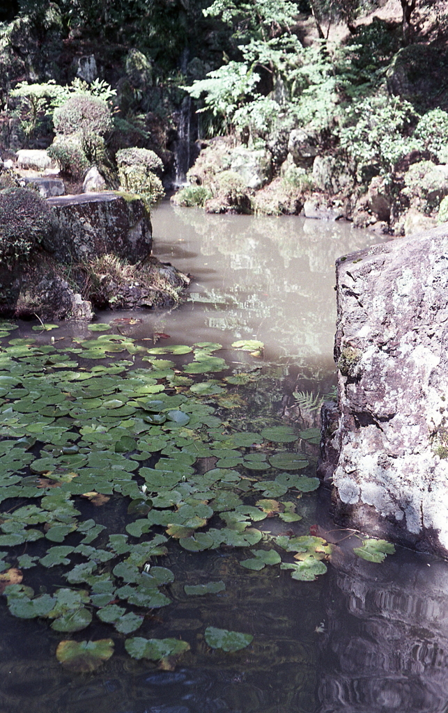 夢窓国師の庭園