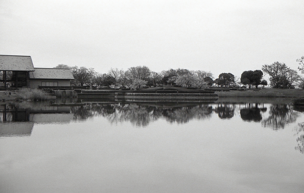 湖水の蜃気楼