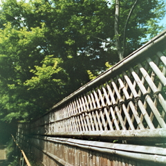 緑の木々と竹塀の散策路
