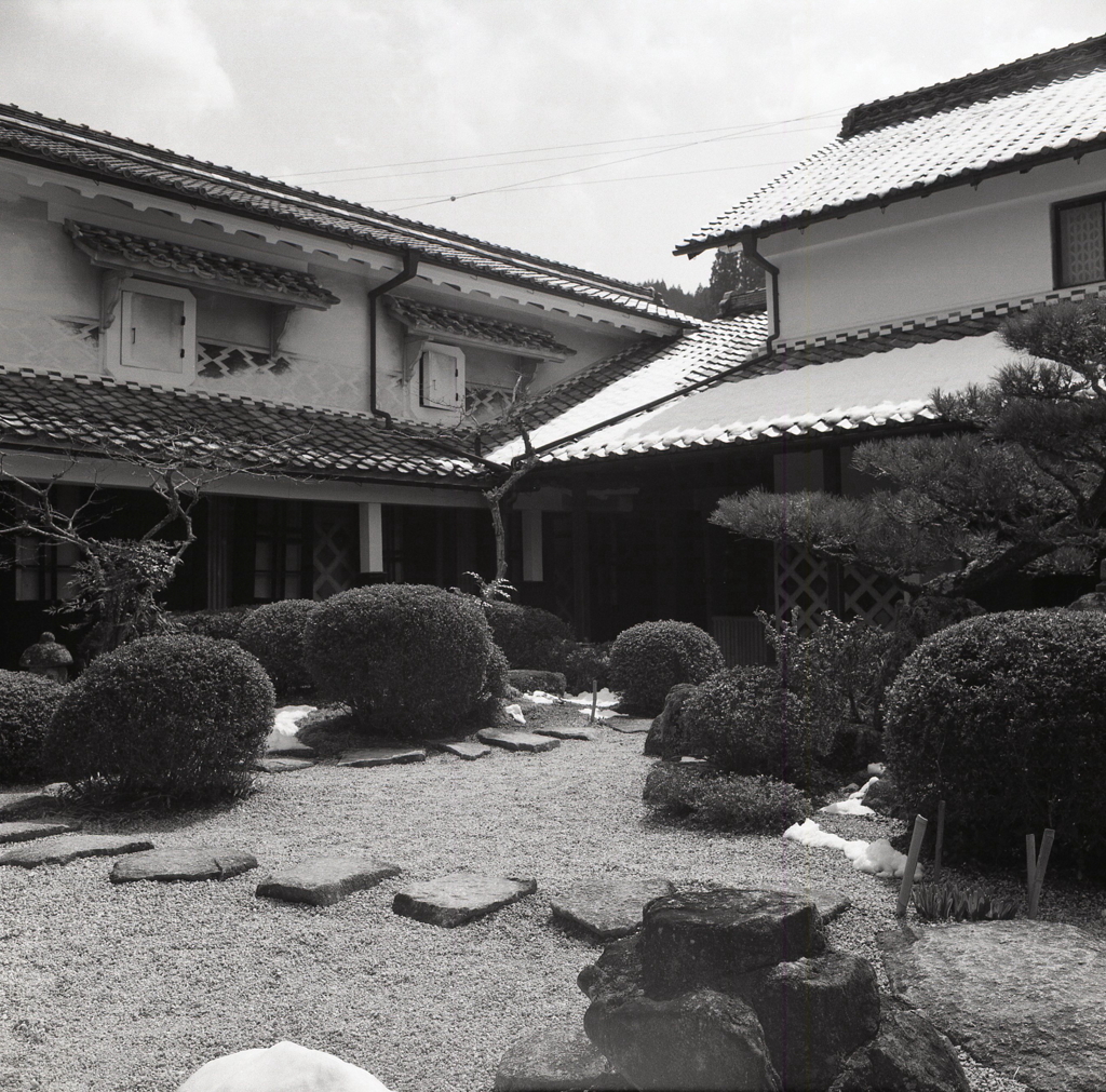 旧家白瓦の庭風景