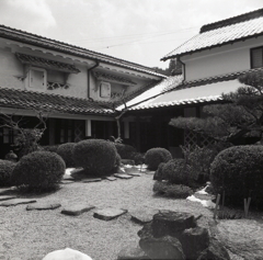 旧家白瓦の庭風景