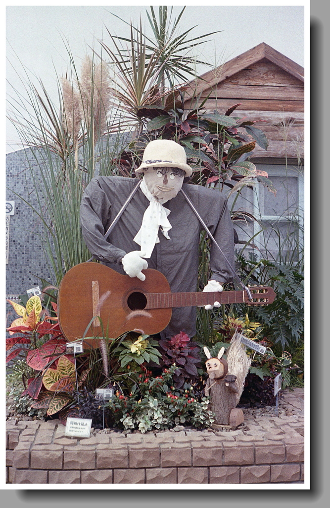 無弦ギター抱えて…