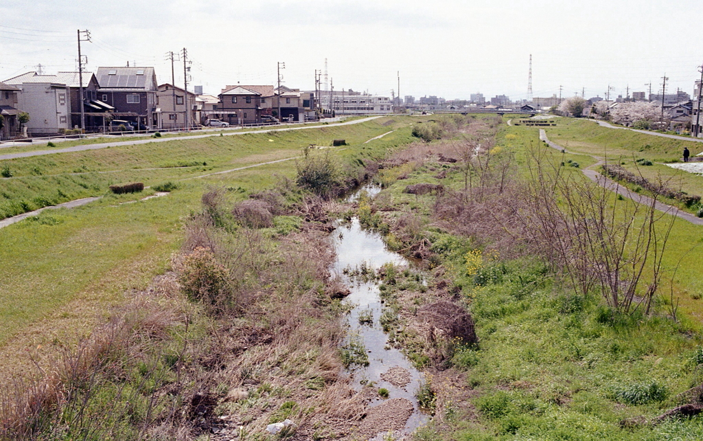 本来のの内津川本流