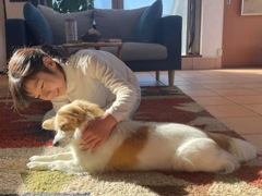 やさしさに包まれて