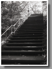 緑地の木階段スロープ