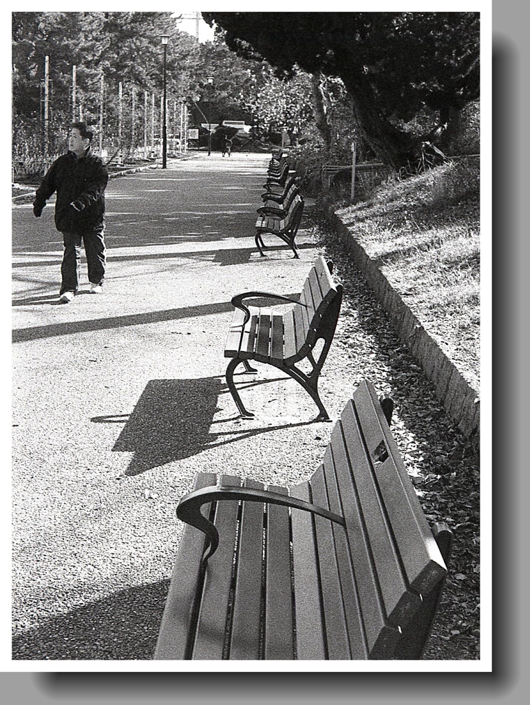 誰も座らない冬のベンチ