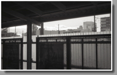 なんだかんだと八千ポッ！