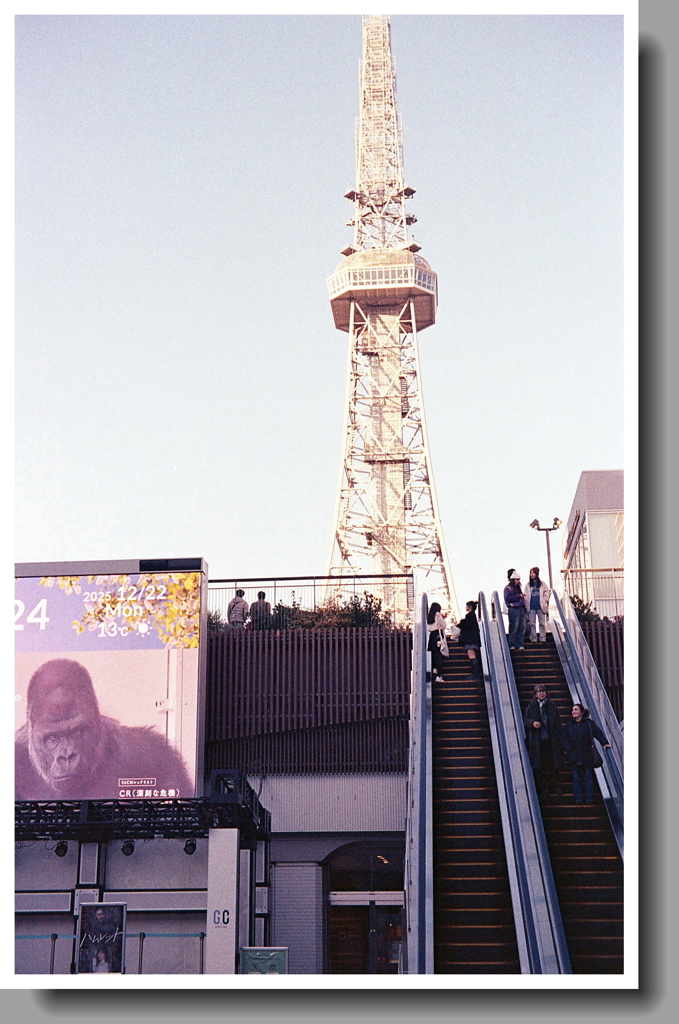 私…いやゴリラとテレビ塔でも（笑