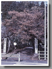 定光寺ぼっち墓参り