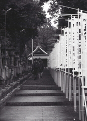 五社大明神社の本殿が見えた。