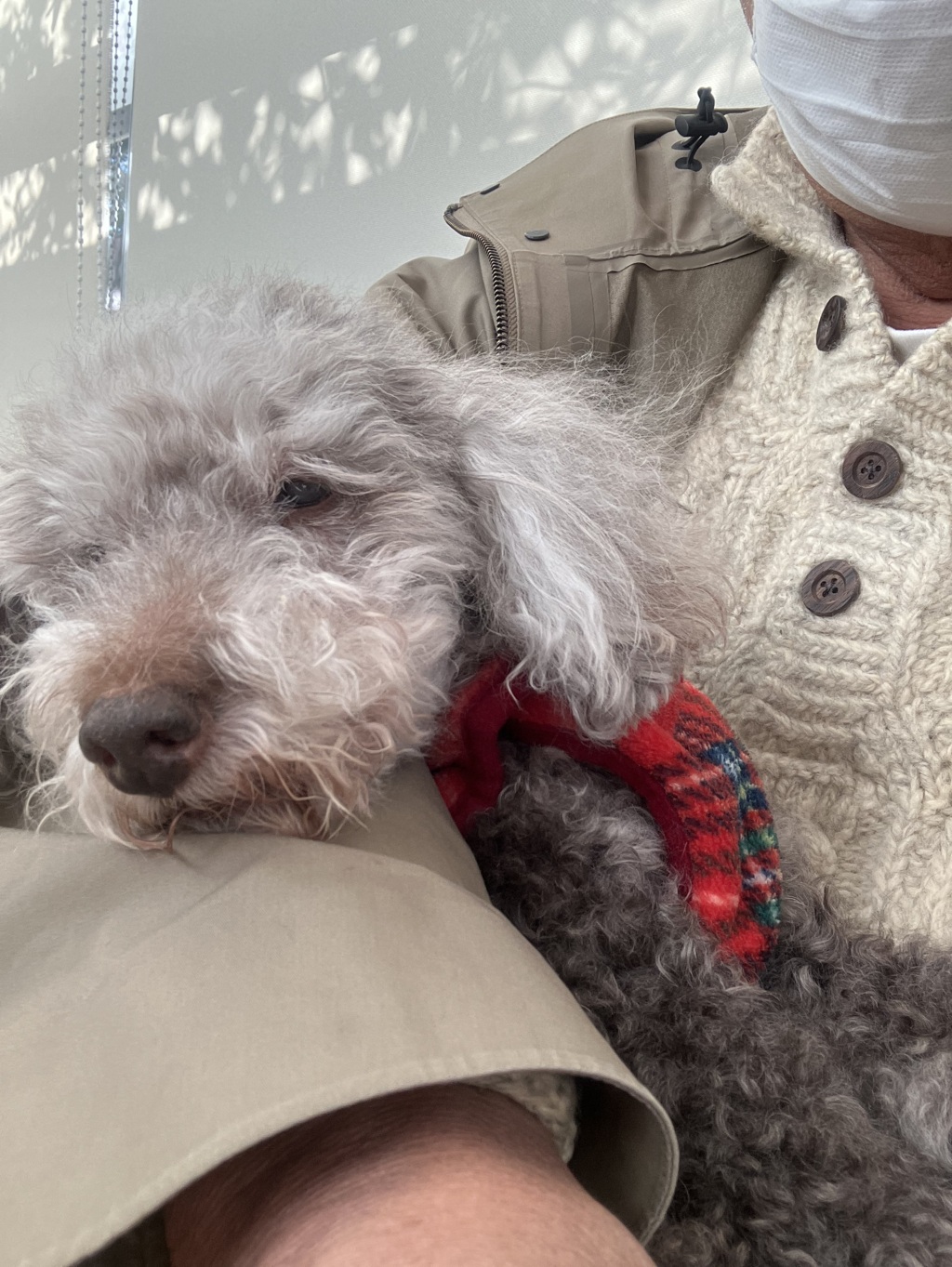 今日は一番です。