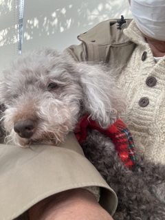 今日は一番です。