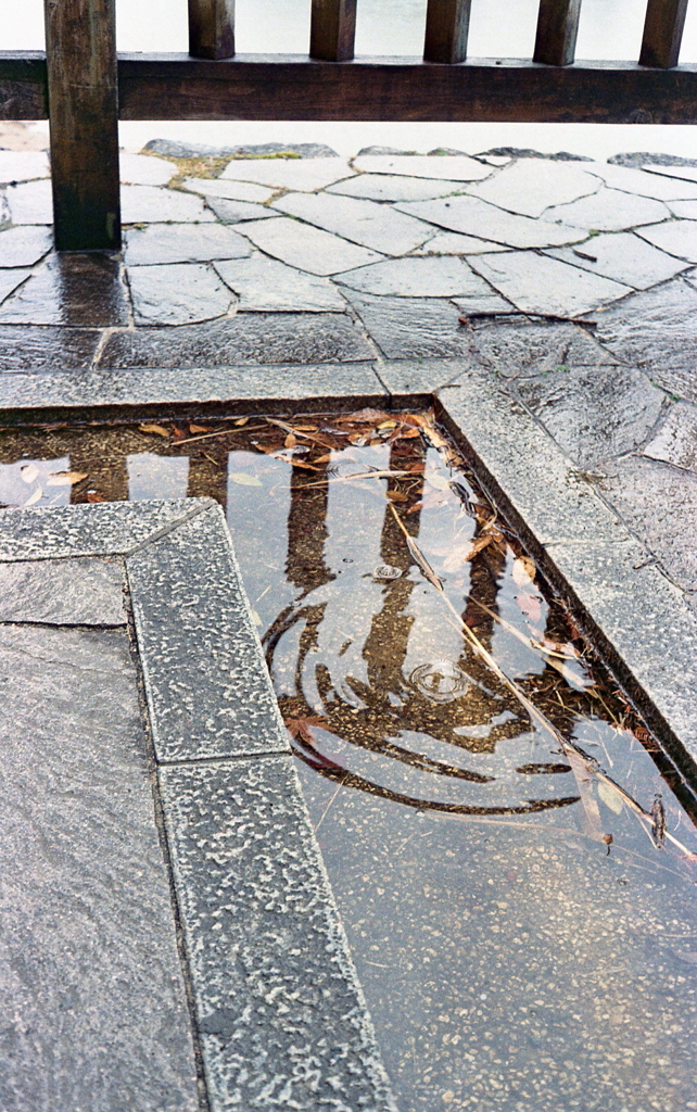 Rainy ParkⅢ