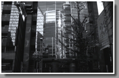 ビルに映るビルを撮る。