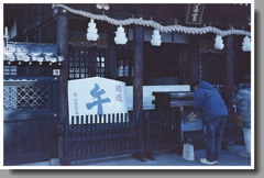 今年は牛年なんですね。