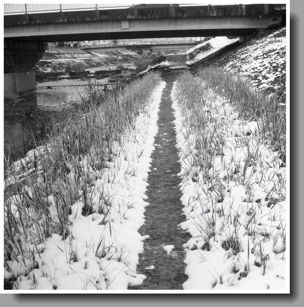 土手雪の道