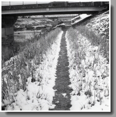 土手雪の道