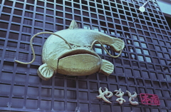 金ぴかナマズ