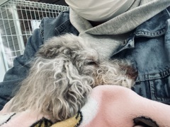 マリを抱きながら…