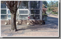 温室のある風景