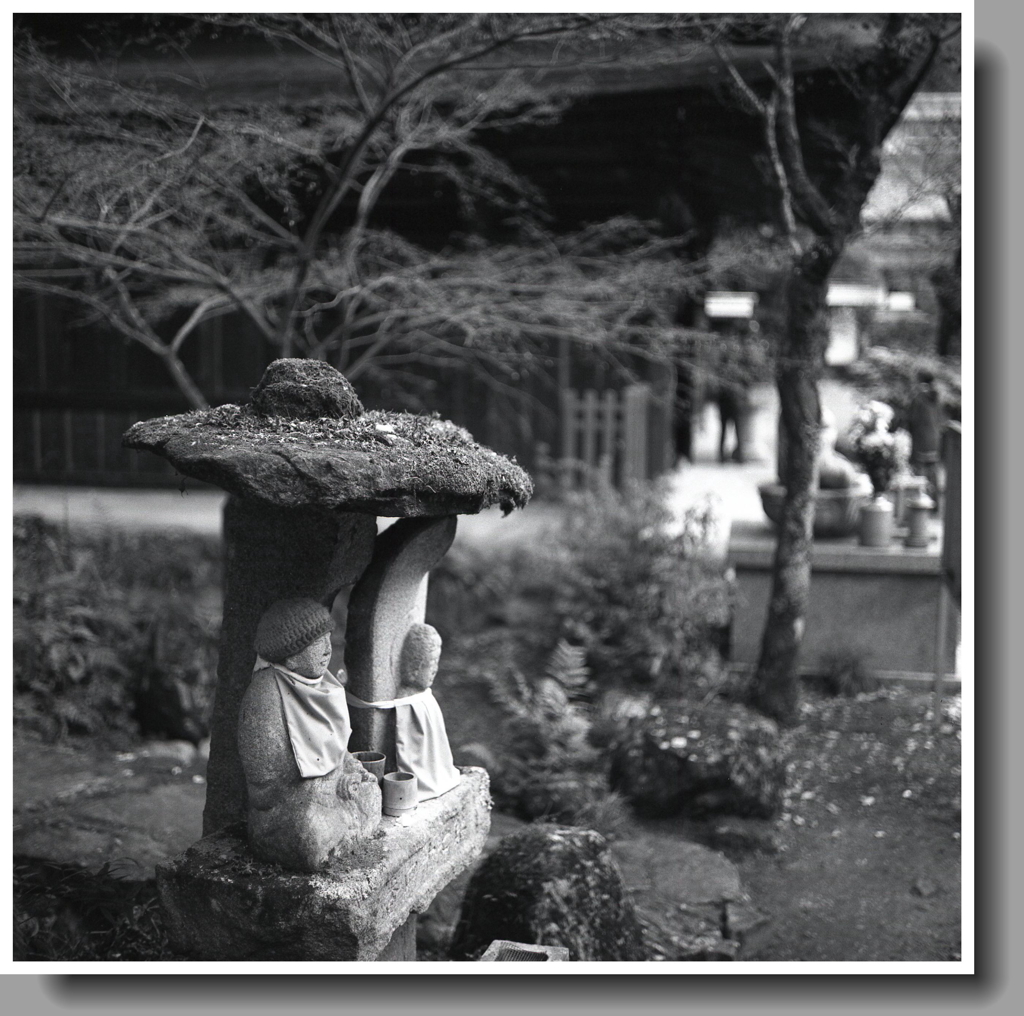 苔石傘の石地蔵