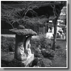 苔石傘の石地蔵