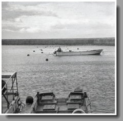 湾内に小船が浮かぶ風景