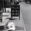 ちょっと古いもんあります