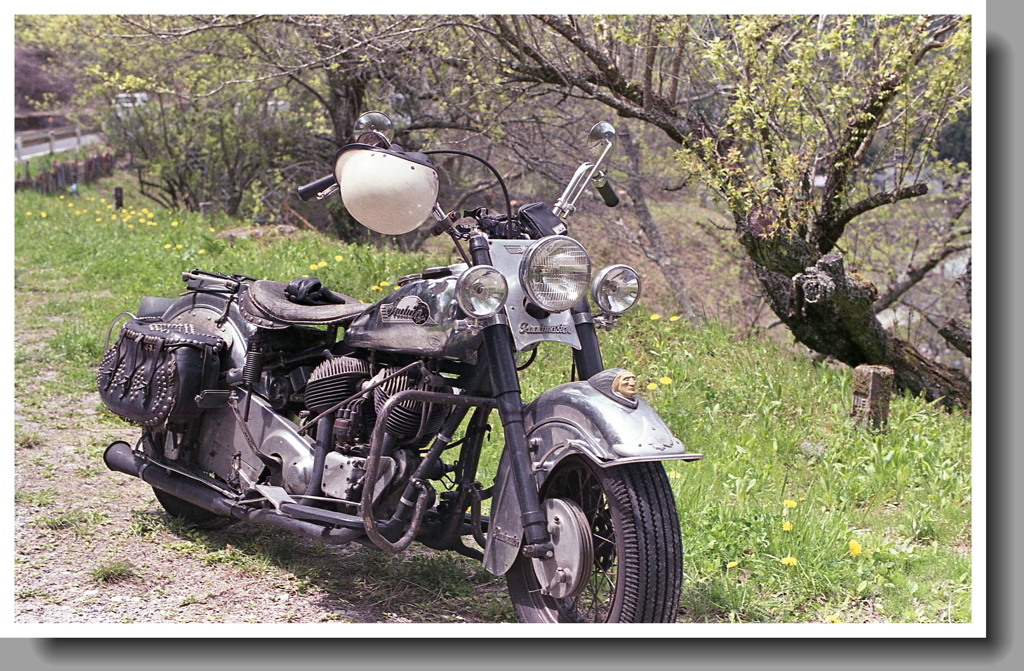 春のインディアン