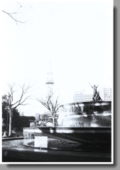 消えゆくテレビ塔…もう、なに撮ってんの！（汗