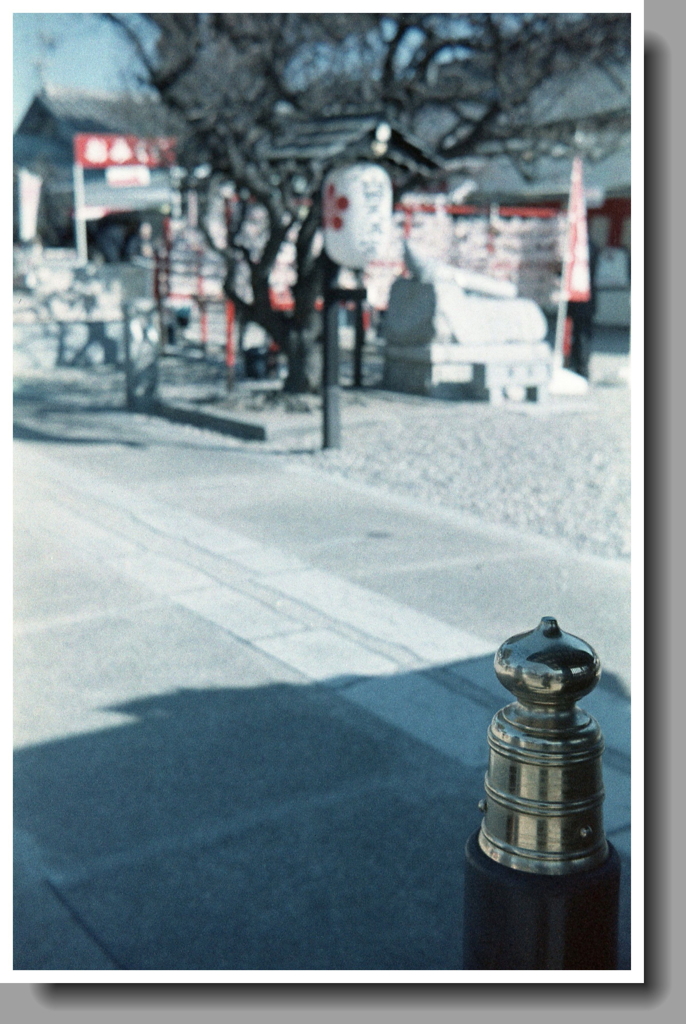 金色の擬宝珠をあとに…