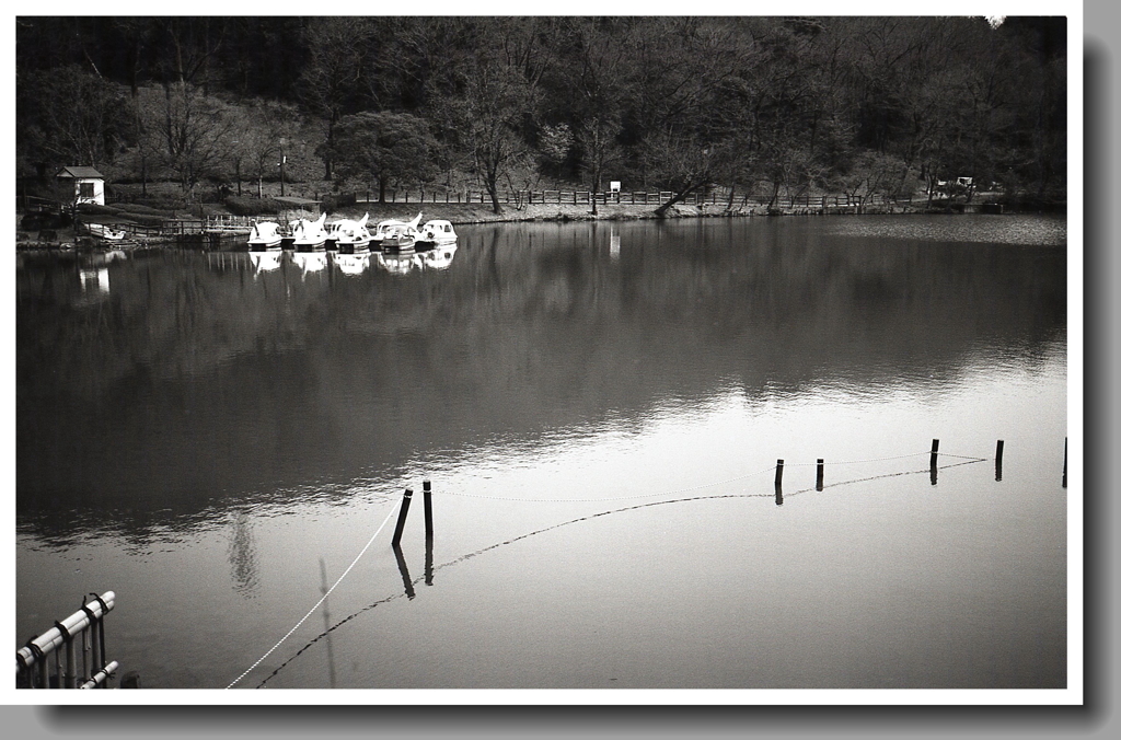 超低感度フィルムで…