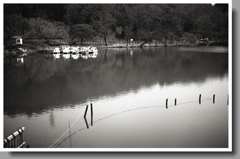 超低感度フィルムで…